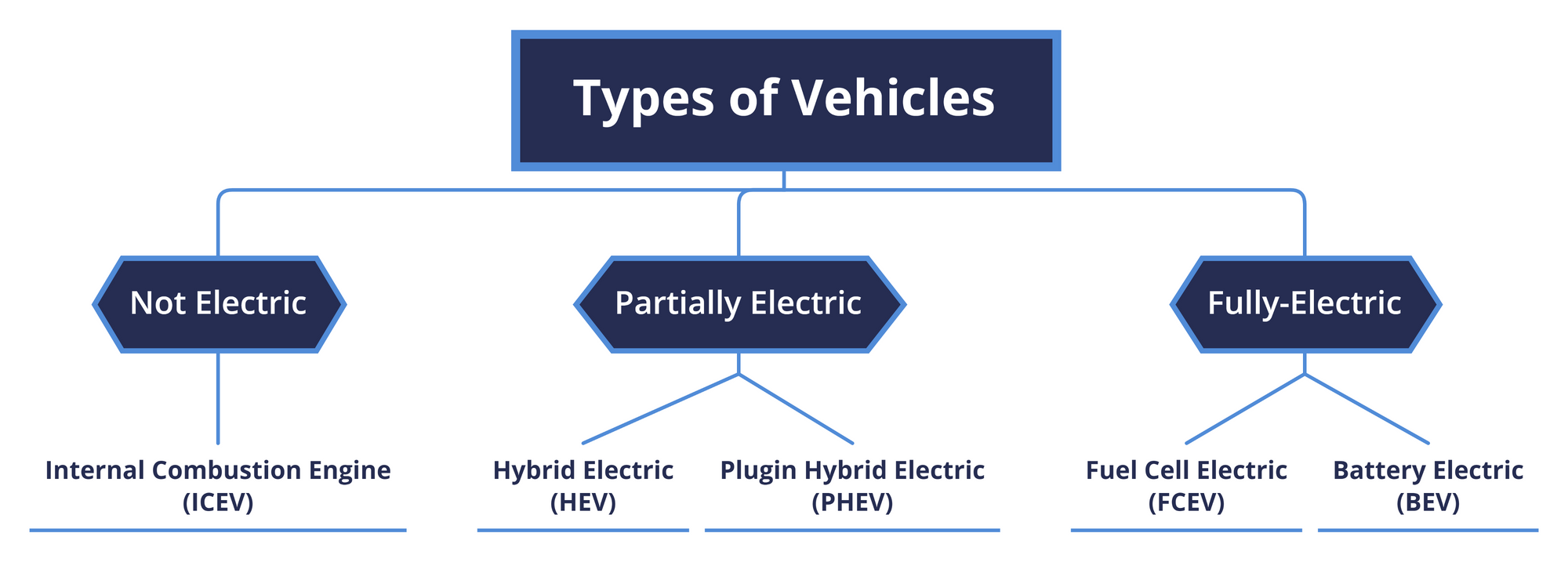What are EVs?